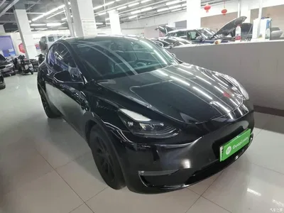 2021 Tesla Model Y Model Long Range AWD, фото 4, лот 10369677