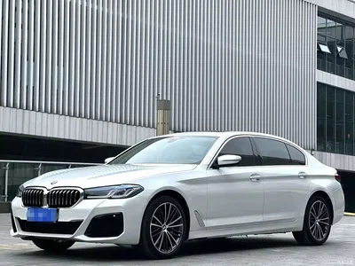 2019 BMW 5 Series 530Li Leading Luxury Package, фото 2, лот 10818650