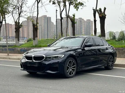 2021 BMW 3 Series Facelift 320Li M Sport Package, фото 1, лот 11192822
