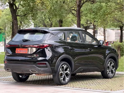 2021 Sehol X8 Model 300T DCT Flagship Premium Edition 5-Seater, фото 4, лот 11549632