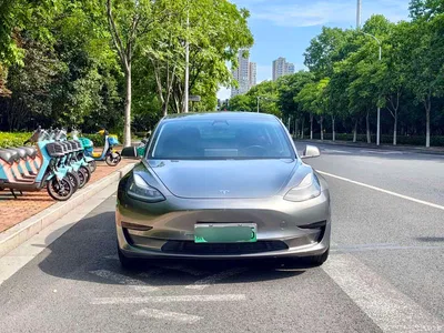 2020 Tesla Model 3 Standard Range Rear-Wheel Drive Upgrade, фото 2, лот 10368351