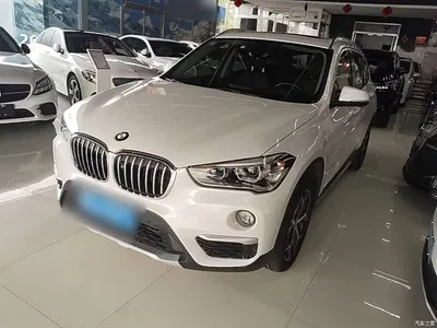 2016 BMW X1 xDrive20Li Luxury Model, фото 1, лот 10389192