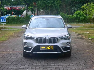 2018 BMW X1 sDrive20Li Leading Model, фото 2, лот 11551389