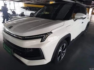 2022 Sehol E40X Official Edition, фото 2, лот 11153436
