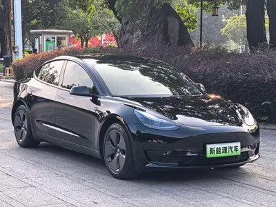2022 Tesla Model 3 Model Rear-Wheel Drive Version, фото 3, лот 11219764