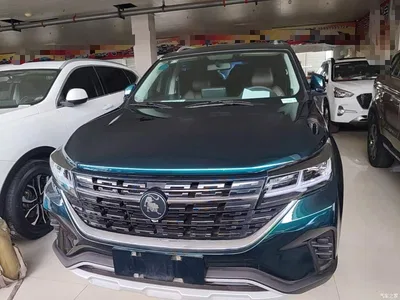 2021 Dongfeng Fengxing T5 1.5T Automatic Comfort Trim, фото 3, лот 11158884