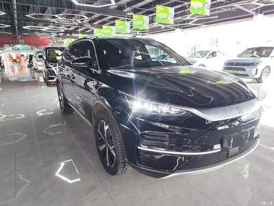 2024 BYD Tang New Energy EV Champion Edition 600KM Premium, фото 4, лот 11096094
