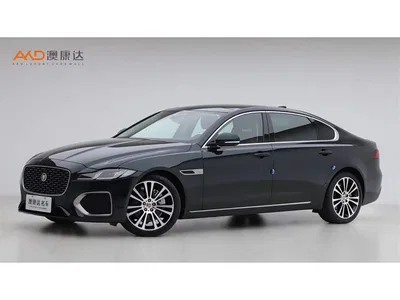 2025 Jaguar XFL 2.0T P250 FWD Luxury Edition, фото 1, лот 11565294