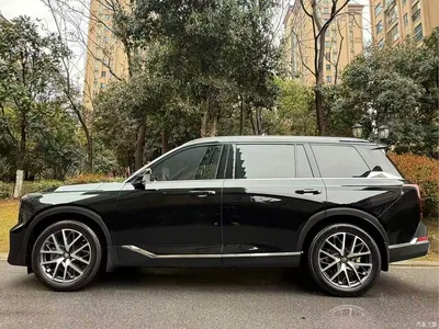 2025 GAC Trumpchi Trumpchi GS8 Pilot Series 2.0TGDI 2WD Luxury Edition 5-seater, фото 3, лот 10415477