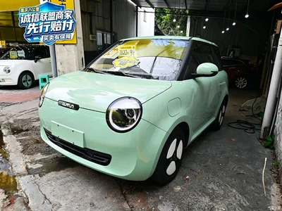 2022 Changan Qiyuan Changan Lumin 301km Honey Sweet, фото 1, лот 10407850