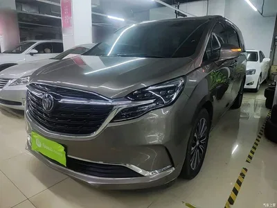 2020 Buick GL8 ES Landglory 653T Flagship, фото 2, лот 10262088