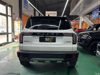 2021 Haval Big Dog 1.5T DCT 2WD Labrador Edition, фото 4, лот 10361685