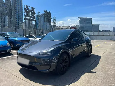 2024 Tesla Model Y Rear-Wheel Drive Version, фото 1, лот 11583738