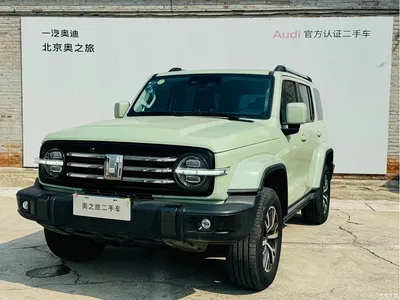 2021 Tank 300 Urban Edition 2.0T Stylish, фото 1, лот 10808162