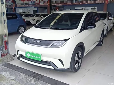 2023 BYD Dolphin 420km Freedom Edition, фото 1, лот 10263960