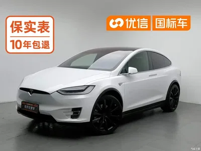 2016 Tesla Model X 90D, фото 1, лот 10356866