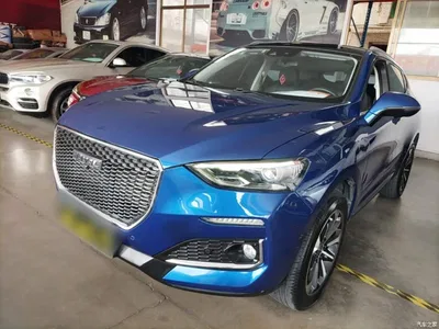 2019 Haval F5 National Trend Edition 1.5T iFashion China VI, фото 1, лот 10888024