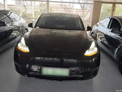 2021 Tesla Model Y Standard Range Rear-Wheel Drive, фото 3, лот 10764357