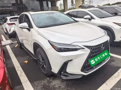 2022 Lexus NX 350h FWD Joy Creation Edition, фото 4, лот 10320518