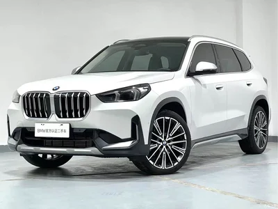 2024 BMW X1 xDrive25Li X Design Package, фото 2, лот 10409678