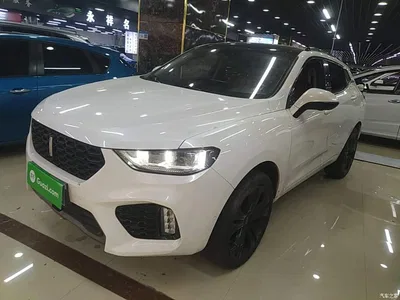 2017 WEY VV5 2.0T Flagship Model, фото 2, лот 10452198