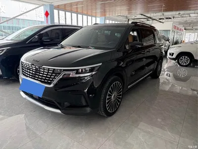 2021 Kia Carnival 2.0T Flagship Edition, фото 1, лот 10284871