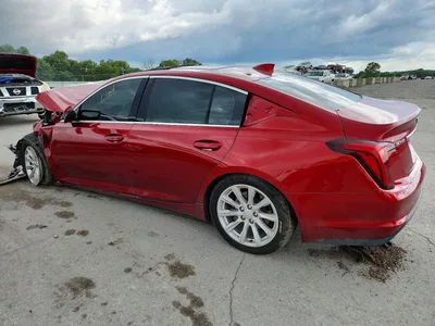 2024 CADILLAC CT5 LUXURY, фото 2, лот 10868676