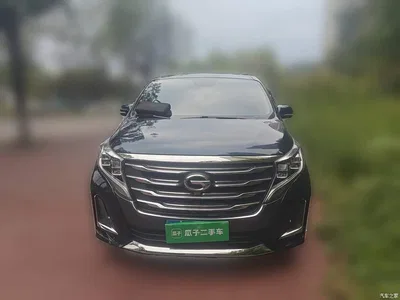 2020 GAC Trumpchi Trumpchi M8 Pilot 390T Prestige Edition, фото 2, лот 10417232