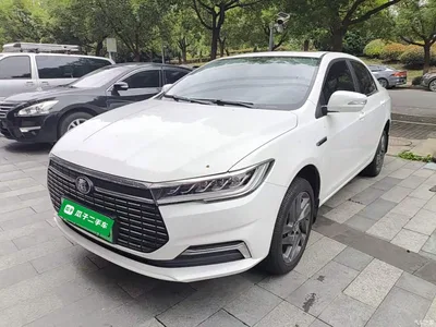 2019 BYD Qin New Energy Long Range Luxury Edition, фото 1, лот 11199013