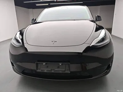 2023 Tesla Model Y Rear-Wheel Drive Edition, фото 3, лот 10455498