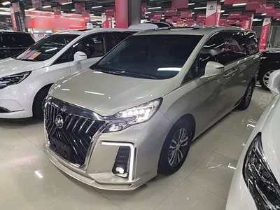 2021 Buick GL8 ES Landlord 653T Comfort, фото 1, лот 10259926
