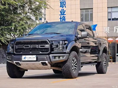 2019 Ford F-150 Raptor 3.5T Raptor Performance Enhanced Edition, фото 1, лот 11218685