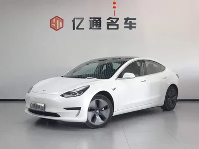 2020 Tesla Model 3 Standard Range Rear-Wheel Drive Upgrade, фото 1, лот 10476215