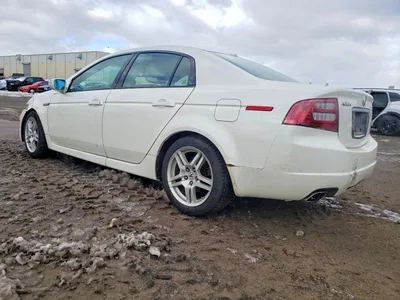 2007 ACURA TL, фото 2, лот 10873440