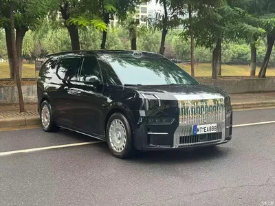2022 ZEEKR 009 ME Edition, фото 2, лот 11206260