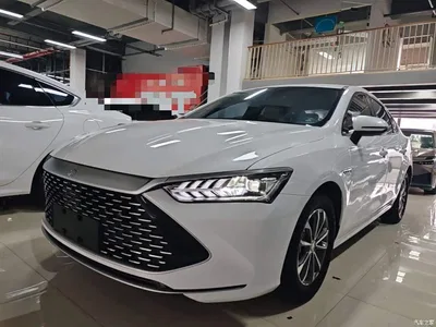2023 BYD Qin PLUS Champion Edition DM-i 55KM Leading, фото 1, лот 11249246