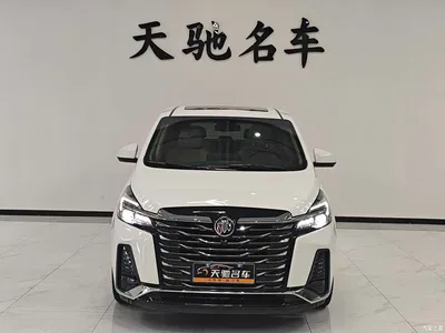 2023 Buick GL8 Land Business Class 652T Luxury, фото 2, лот 10250408