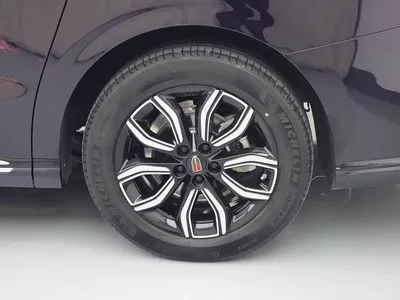 2023 Hongqi HQ9 2.0T Smart Connect Flagship, фото 4, лот 10287392