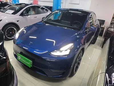 2021 Tesla Model Y Long Range All-Wheel Drive 3D7, фото 2, лот 10370493
