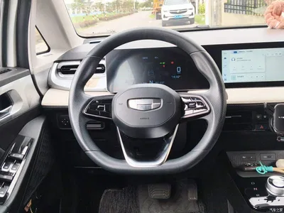 2022 Geely E Firefly 320KM Well-behaved Tiger 4-seater, фото 3, лот 11155713