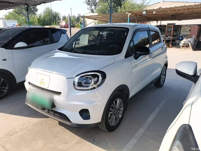 2021 Leapmotor T03 400 Ride-hailing Edition, фото 1, лот 10388449