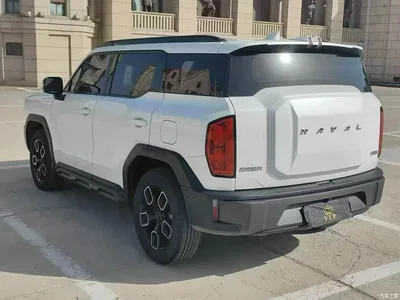 2022 Haval Cool Dog 1.5T DCT 2WD Trend Edition, фото 3, лот 11170825