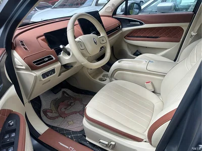2025 Ora Good Cat Model 430km Luxury, фото 4, лот 11549948
