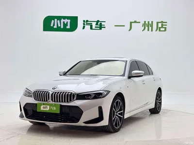 2023 BMW 3 Series 320Li M Sport Package, фото 1, лот 10575930