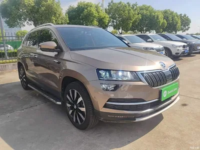 2020 Škoda Karoq TSI280 Smart Luxury Edition China VI, фото 4, лот 10593621