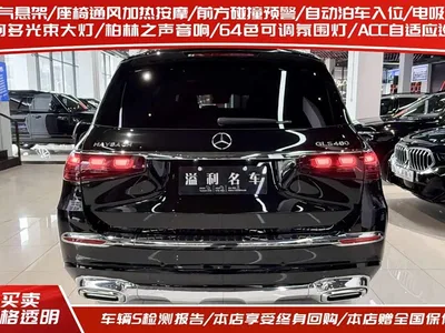 2025 Mercedes-Benz Maybach GLS GLS 480 4MATIC, фото 4, лот 10364138