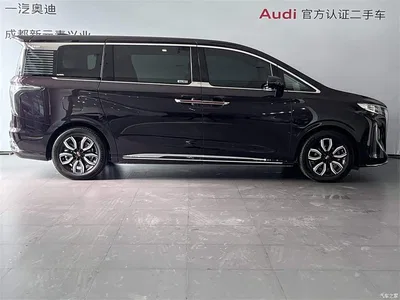 2023 Hongqi HQ9 2.0T Smart Connect Flag Enjoy Edition, фото 3, лот 10285412
