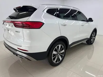 2023 Haval H6 National Trend Edition 1.5T Automatic Champion, фото 4, лот 11423303