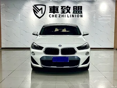 2019 BMW X2 (Import) sDrive25i Leading M Off-Road Package China VI, фото 2, лот 10475686
