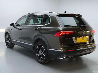 2019 Volkswagen Tiguan L 380TSI Auto 4WD Smart Luxury Edition China VI, фото 4, лот 10424347